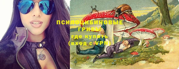 apvp Карпинск