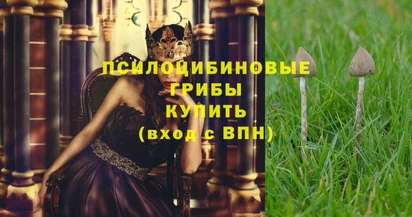 apvp Карпинск