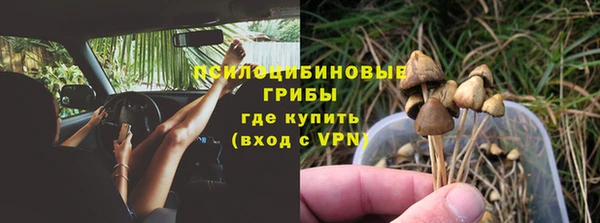 apvp Карпинск